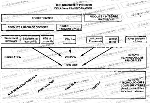 Processus d'abattage - Génie Alimentaire